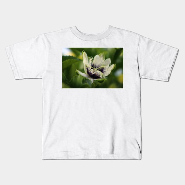 Passion Flower Budding Closeup Kids T-Shirt by ButterflyInTheAttic